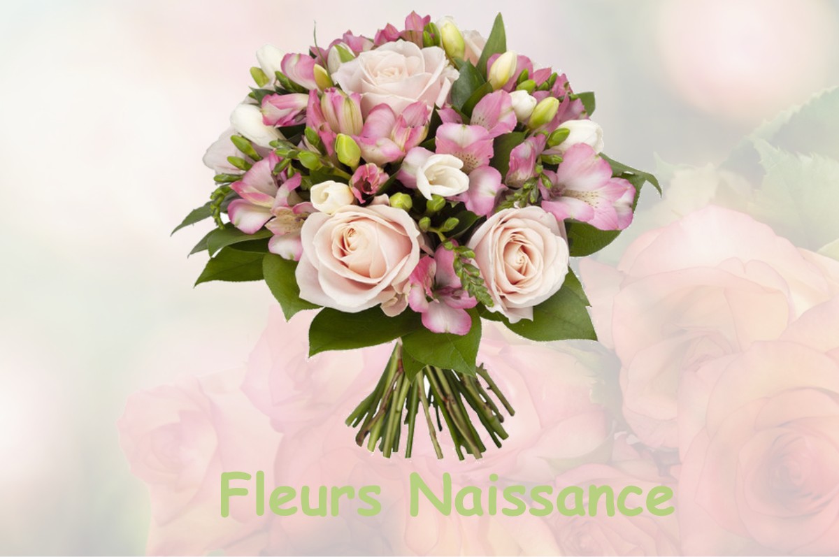 fleurs naissance PUISEUX-LE-HAUBERGER