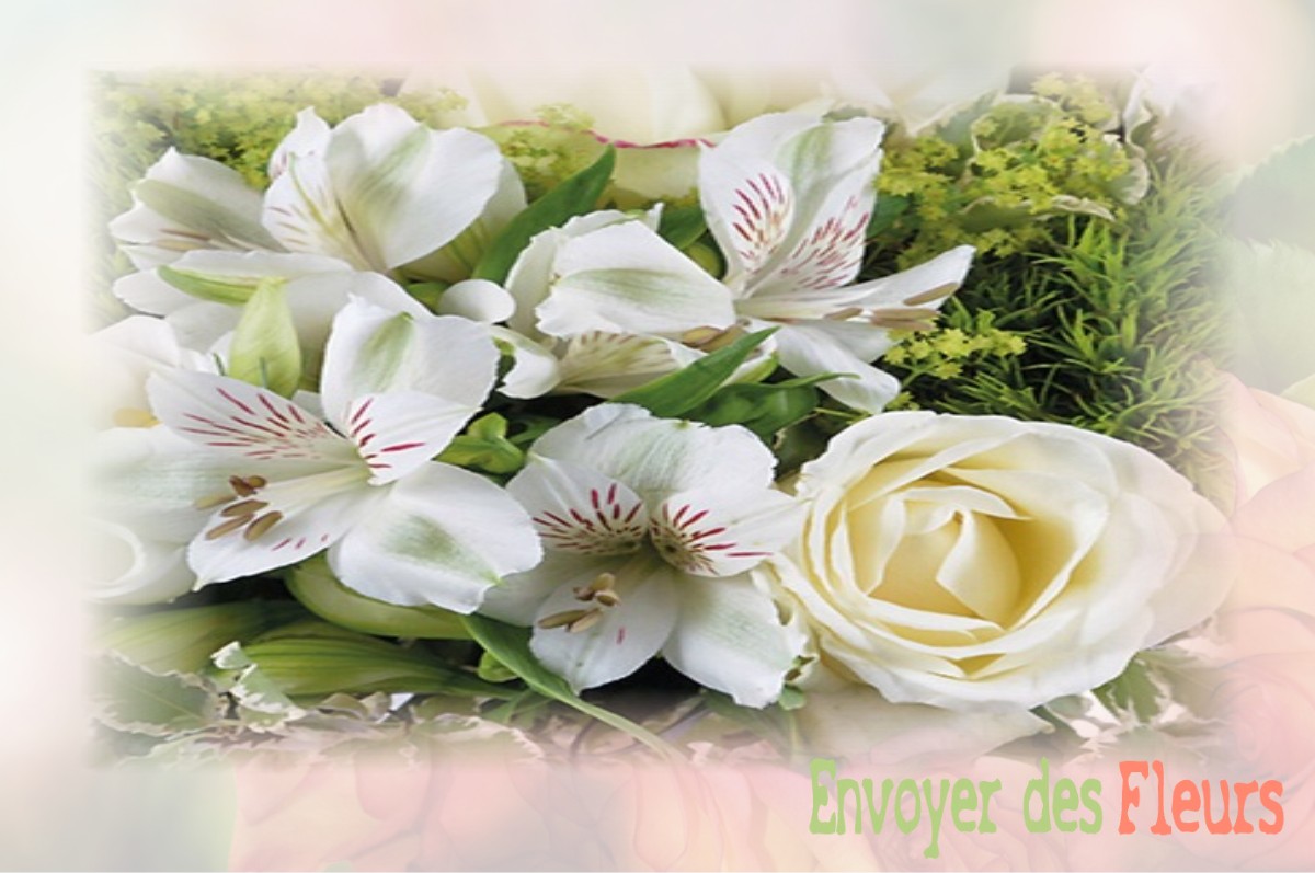 envoyer des fleurs à à PUISEUX-LE-HAUBERGER